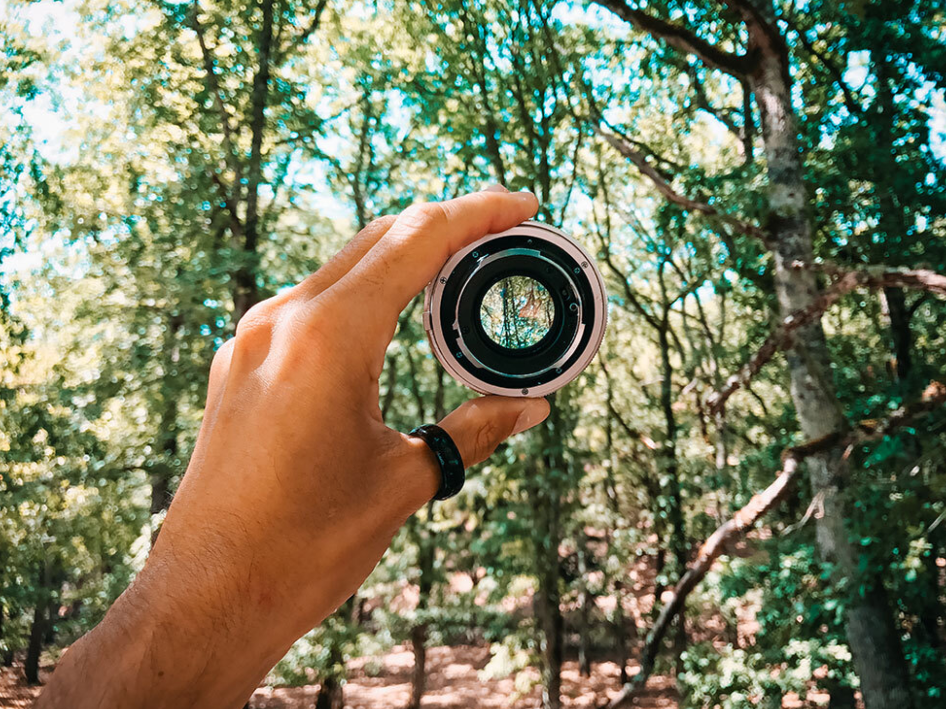 hand holding a camera lens in the air with trees in the background