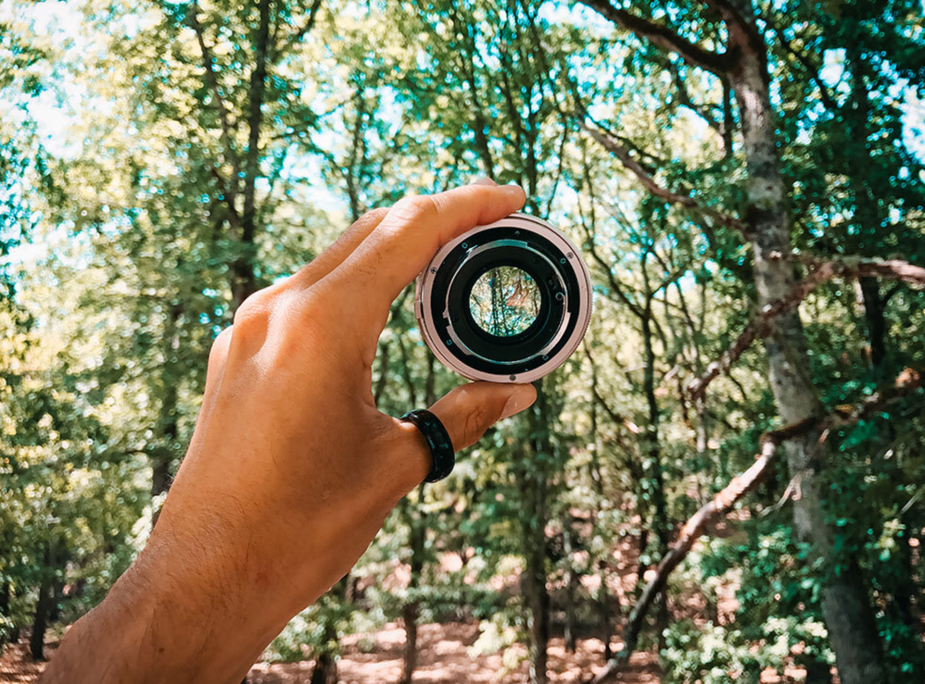 hand holding a camera lens in the air with trees in the background